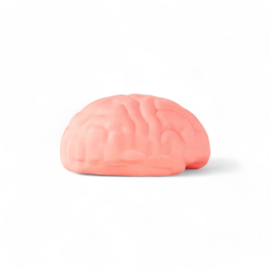 Seletti Brain Wash