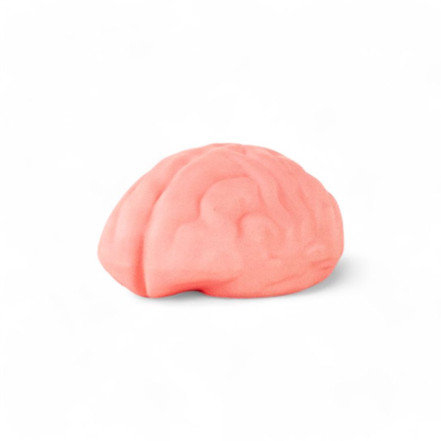 Seletti Brain wash