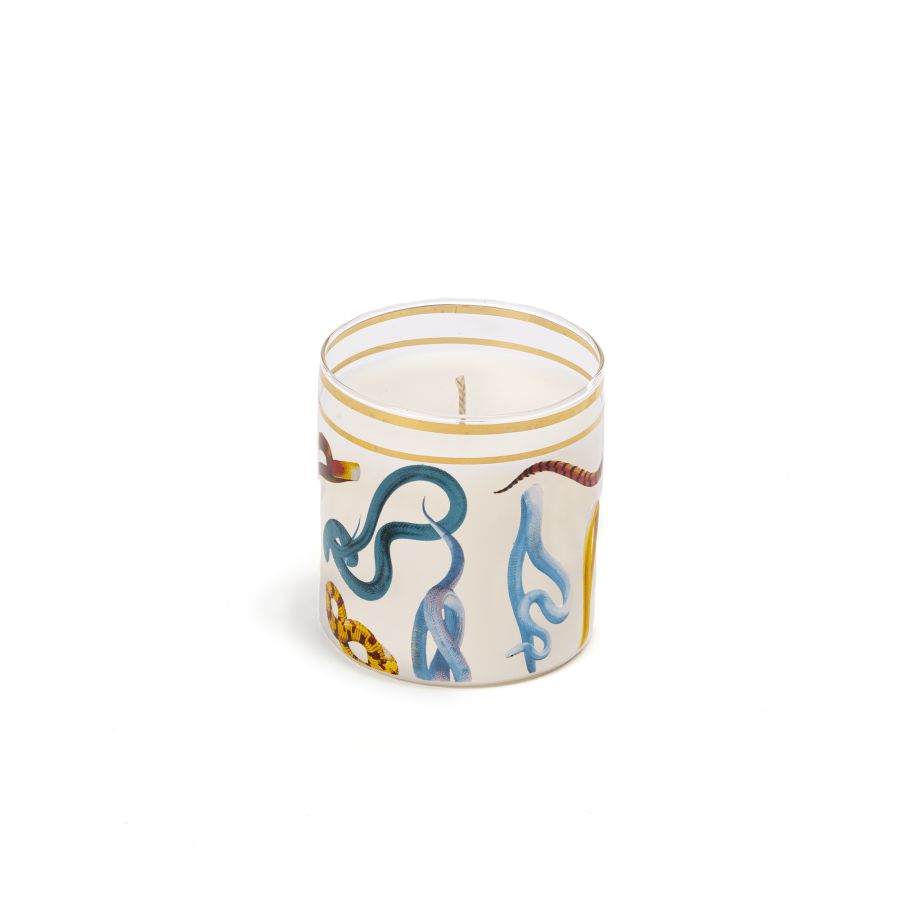 Seletti Glass Candle Snakes