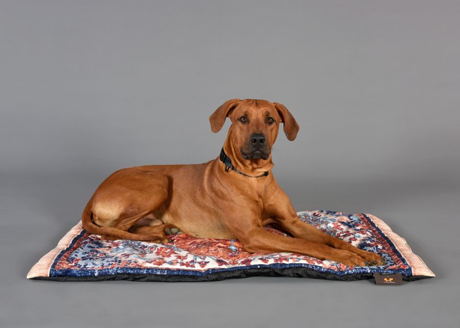 Seletti Kennel Carpet PETS (R)EVOLUTION Big