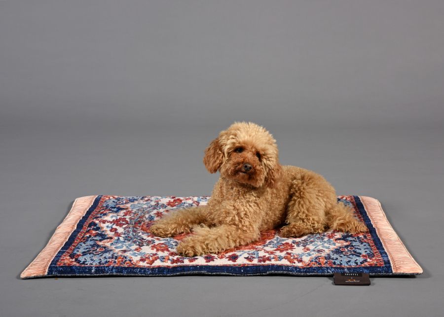 Seletti Kennel Carpet PETS (R)EVOLUTION Medium