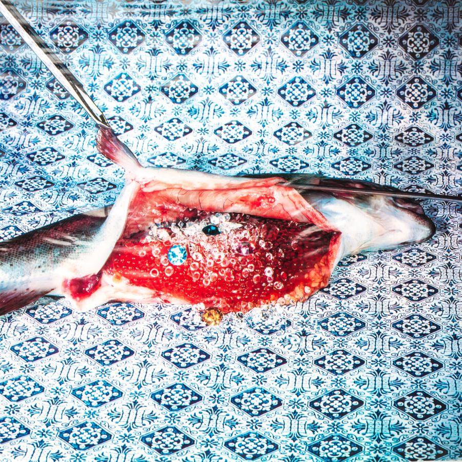 Seletti Tablecloth Fish