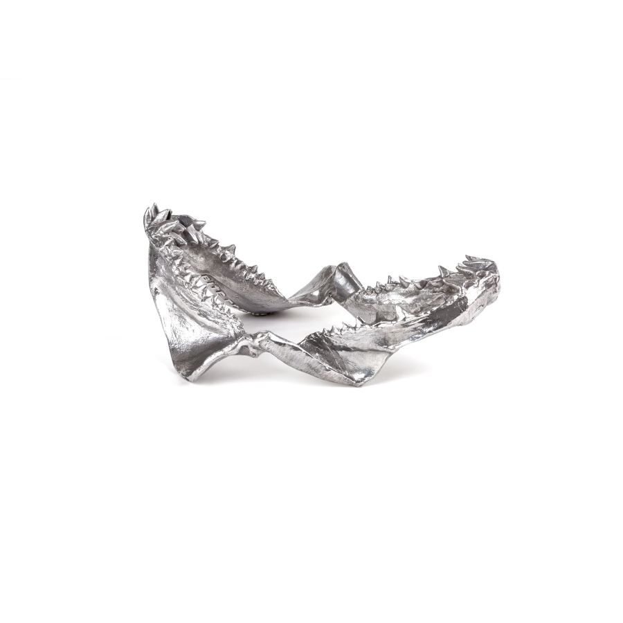 Seletti Wunderkammer Shark Jaw