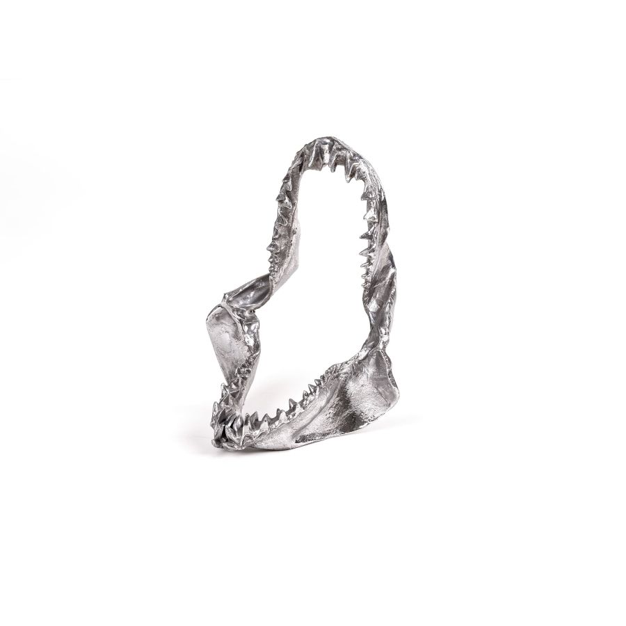 Seletti Wunderkammer Shark Jaw