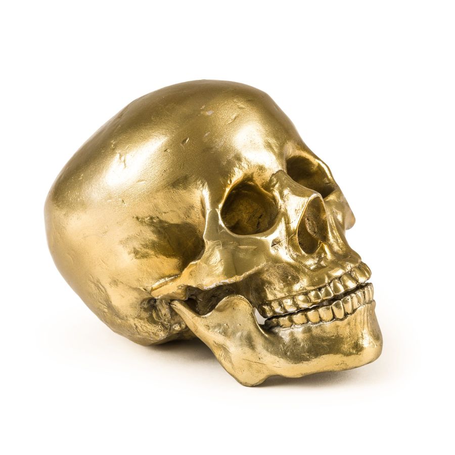 Seletti Wunderkrammer Human Skull