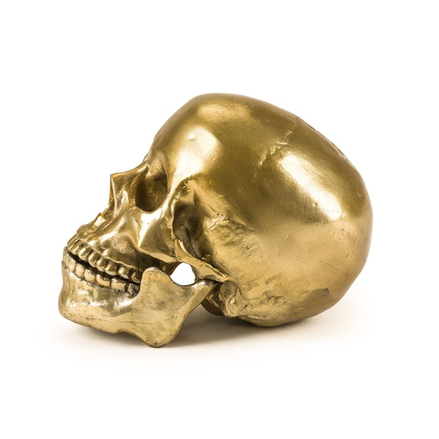 Seletti Wunderkrammer Human Skull