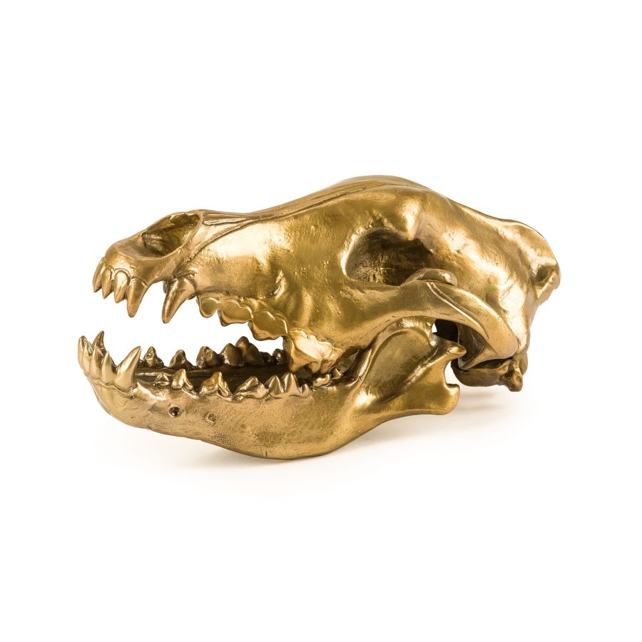 Seletti Wunderkrammer Wolf Skull