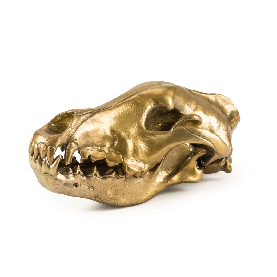 Seletti Wunderkrammer Wolf Skull