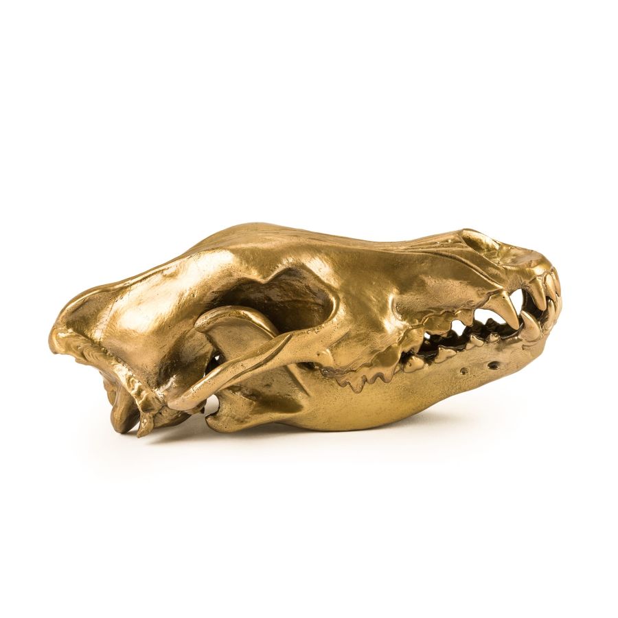 Seletti Wunderkrammer Wolf Skull