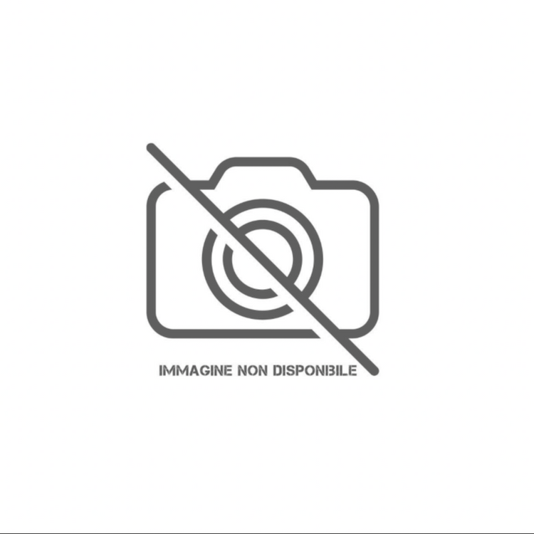 Serafino Zani LUBENICE SABBIATA • Cucchiaione - SERAFINO ZANI