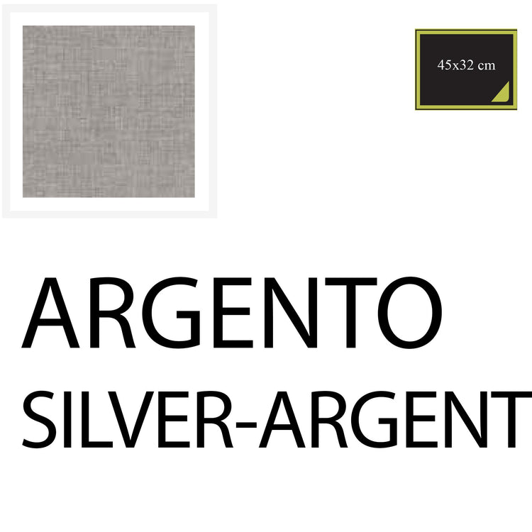 Serafino Zani Americana 45x33 cm - 10pz Argento