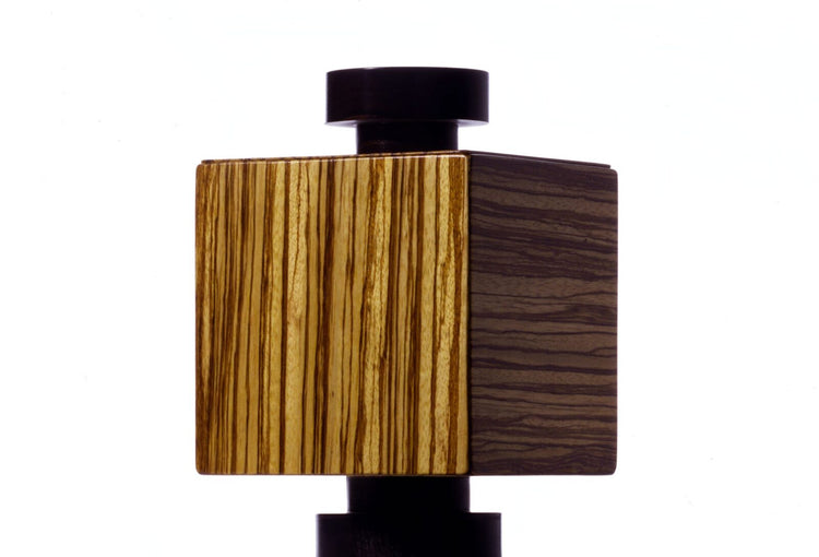 Serafino Zani Teresa