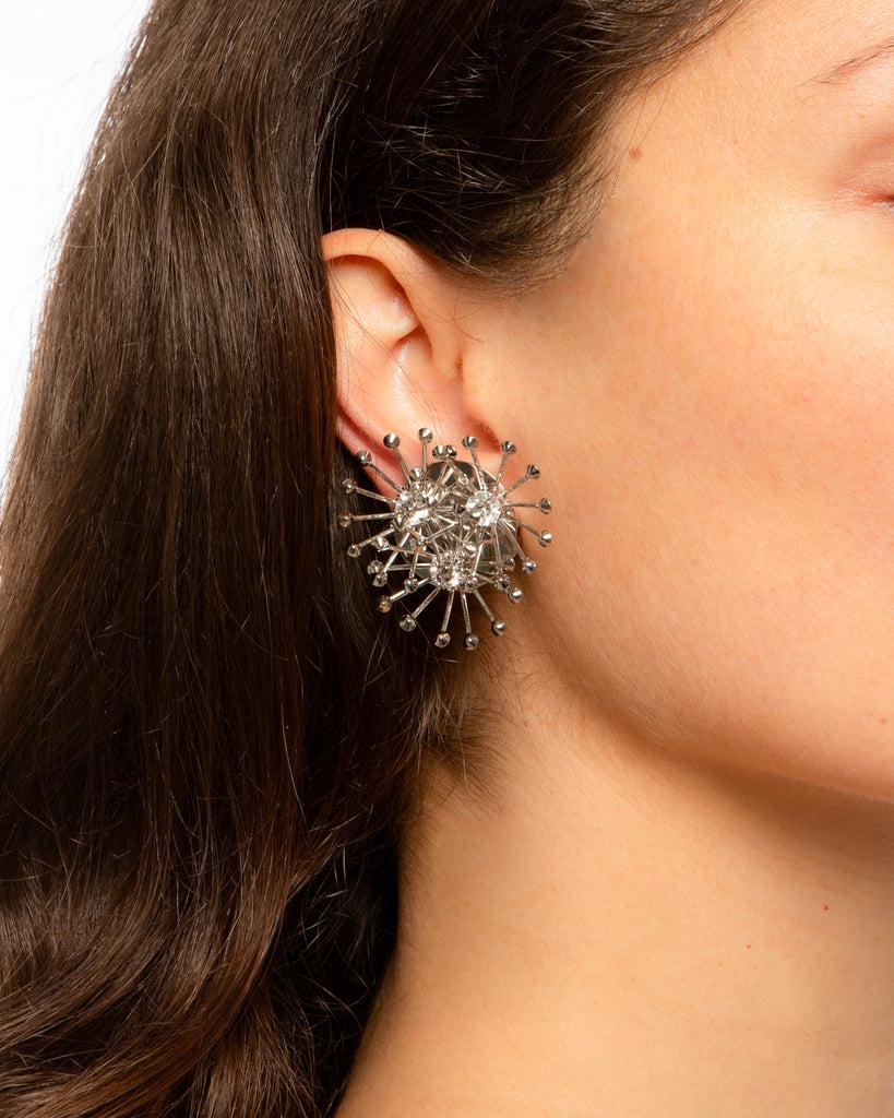 Silvia Gnecchi Anemone