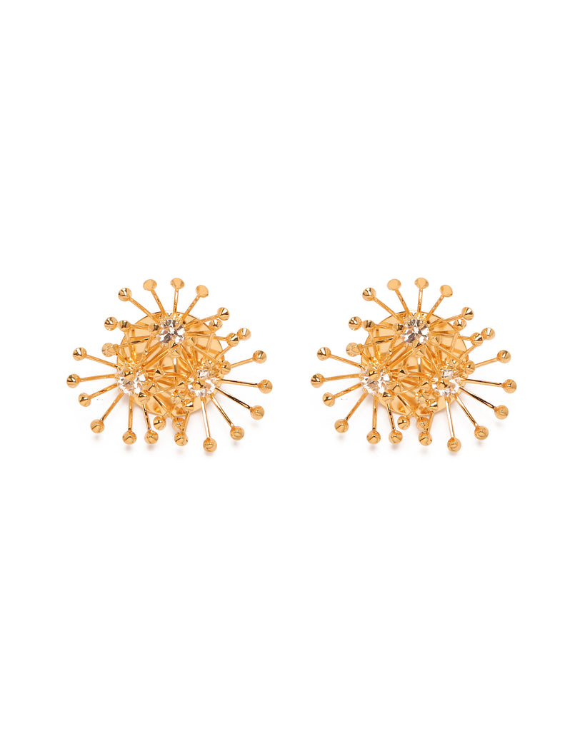 Silvia Gnecchi Anemone