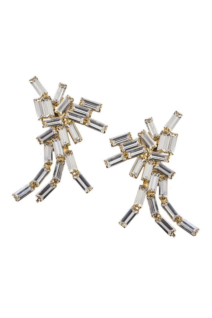 Silvia Gnecchi Super Earrings