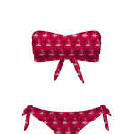 Sort Of Looser BIKIFLAMINGO_FASCIA R