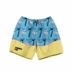 Sort of looser HY_FLAMINGO A