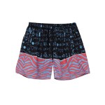 Sort of looser HY_ZEBRA