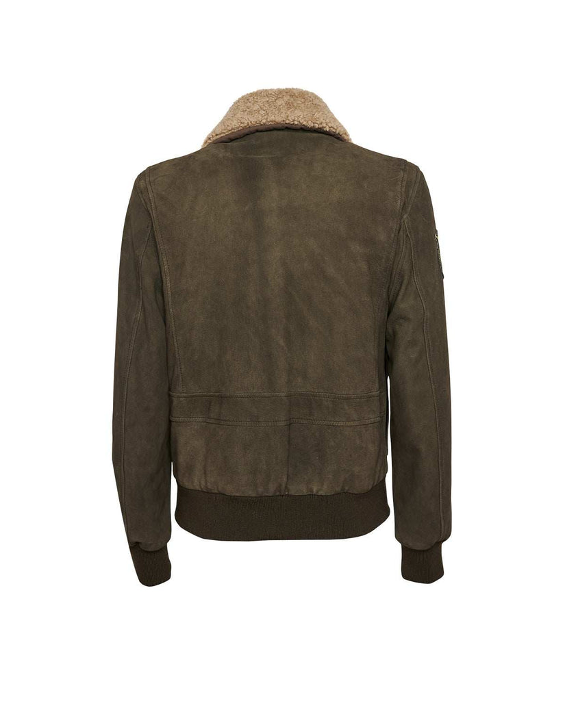 Stewart TORNADO-CHEVRETTE SKIN REMOVABLE COLLAR