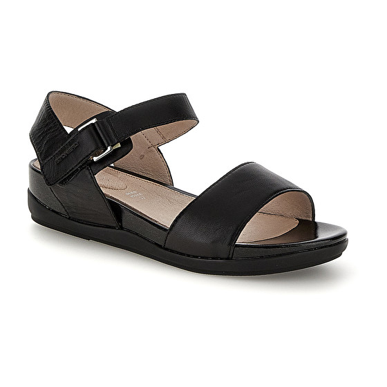 Stonefly EVE 1 NAPPA