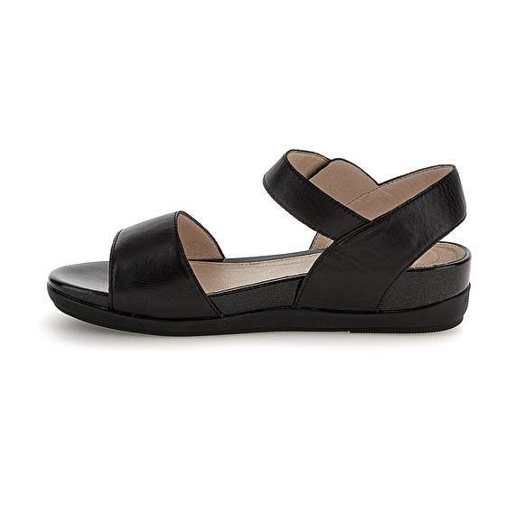 Stonefly EVE 1 NAPPA