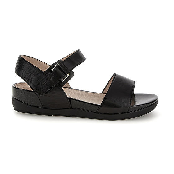 Stonefly EVE 1 NAPPA