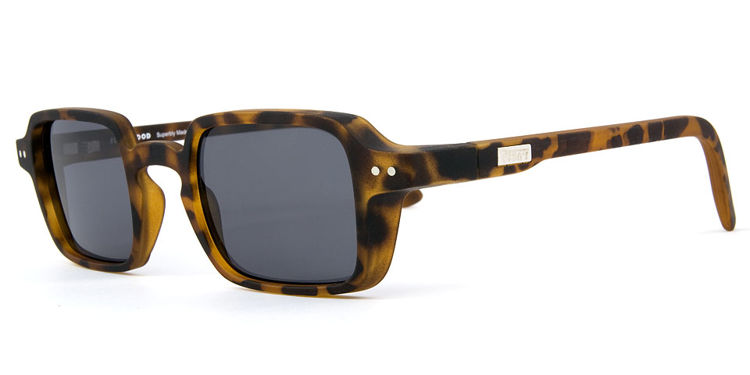 Sun's Good THE ALL-IN