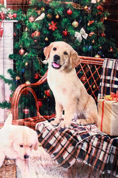 Susy Mix Plaid Stampa Cane