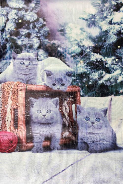 Susy Mix Plaid Stampa Gatto