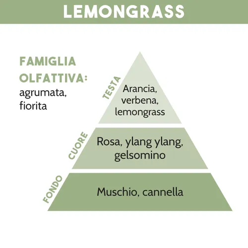 Tescoma RICARICA PER DIFFUSORE DI ESSENZA LEMONGRASS 500 Ml