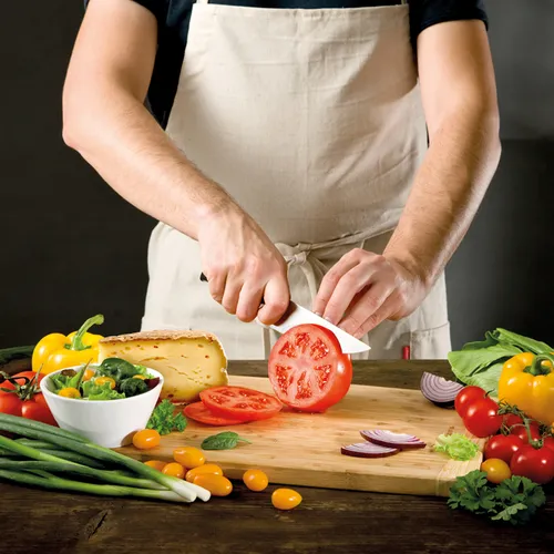 Tescoma COLTELLO ARROSTO