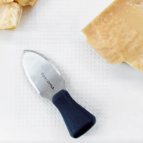 Tescoma COLTELLO PER FORMAGGIO GRANA