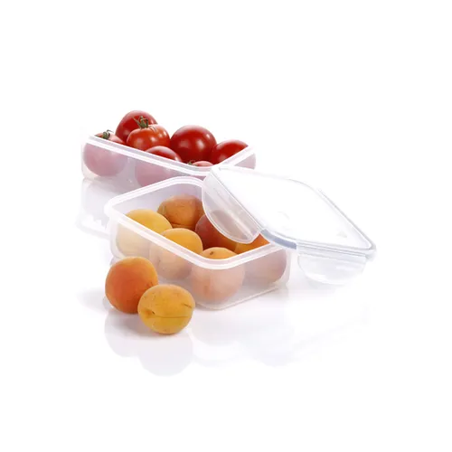 Tescoma CONTENITORE QUADRATO