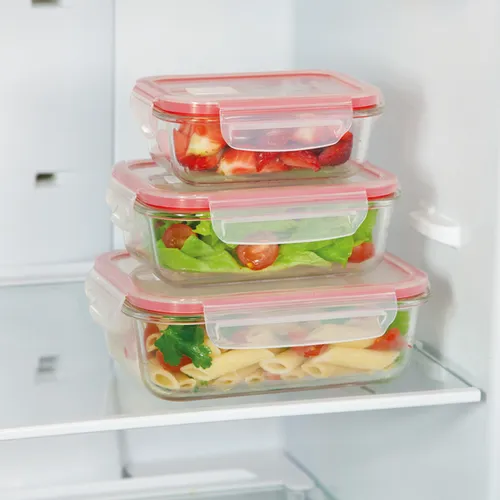 Tescoma CONTENITORE RETTANGOLARE IN VETRO