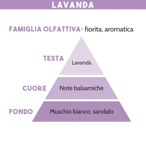 Tescoma DIFFUSORE DI ESSENZA LAVANDA