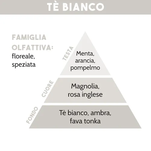 Tescoma DIFFUSORE DI ESSENZA TE' BIANCO 200 Ml