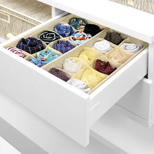 Tescoma ORGANIZER BIANCHERIA INTIMA 10 Scomparti