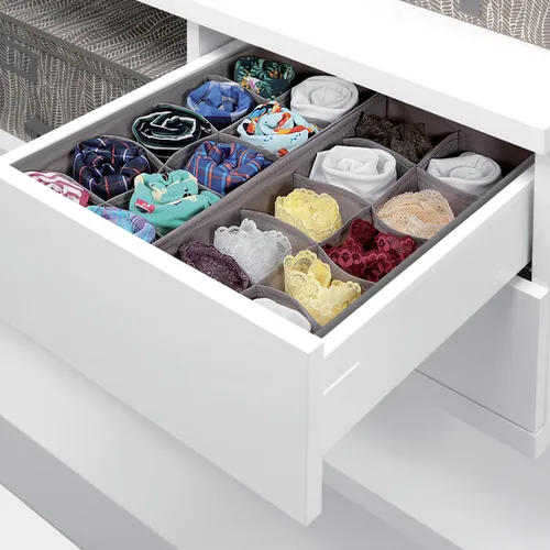 Tescoma ORGANIZER BIANCHERIA INTIMA 10 Scomparti
