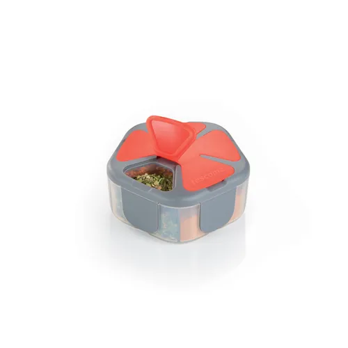 Tescoma PORTASPEZIE DA VIAGGIO 5 SCOMPARTI