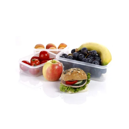 Tescoma SET 5 CONTENITORI RETTANGOLARI