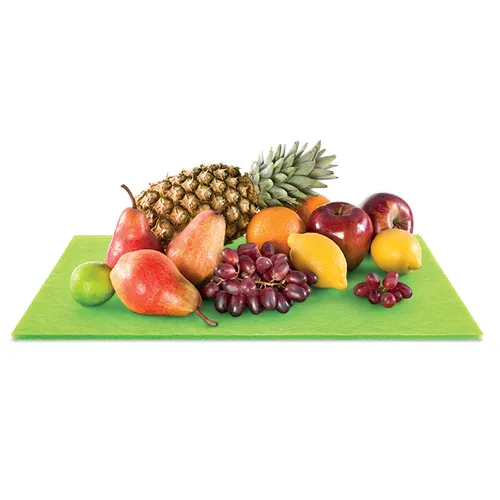 Tescoma TAPPETINO SALVAFRESCHEZZA PER FRIGORIFERO