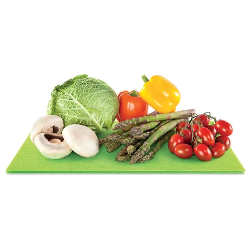 Tescoma TAPPETINO SALVAFRESCHEZZA PER FRIGORIFERO