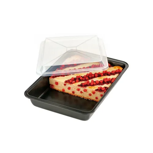 Tescoma TEGLIA RETTANGOLARE CON COPERCHIO