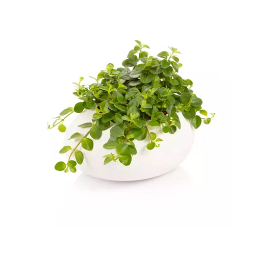 Tescoma VASO GRANDE STONES BIANCO