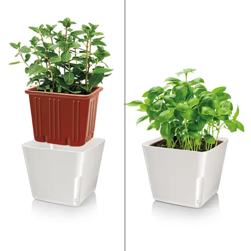 Tescoma VASO PER PIANTE QUADRATO BIANCO