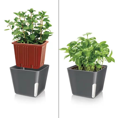 Tescoma VASO PER PIANTE QUADRATO GRIGIO