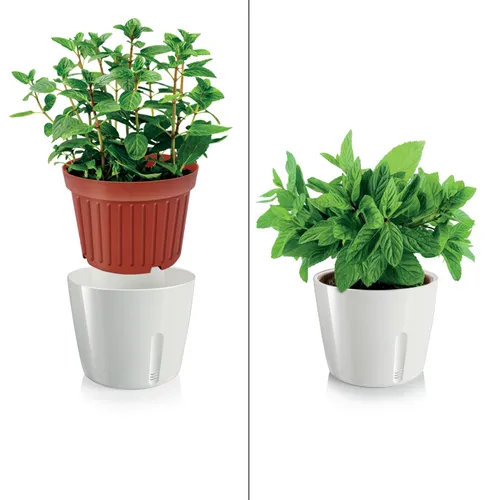 Tescoma VASO PER PIANTE TONDO BIANCO