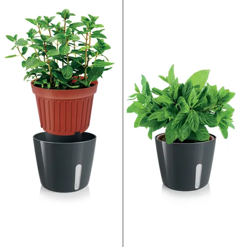 Tescoma VASO PER PIANTE TONDO GRIGIO