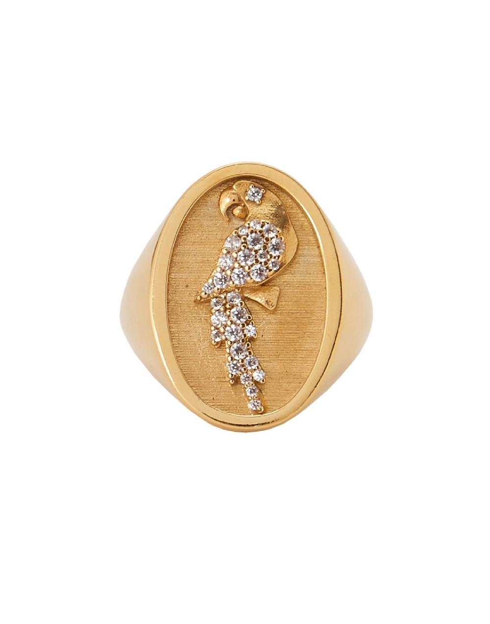 Thais Bernardes Anello Chevalier Pappagallo