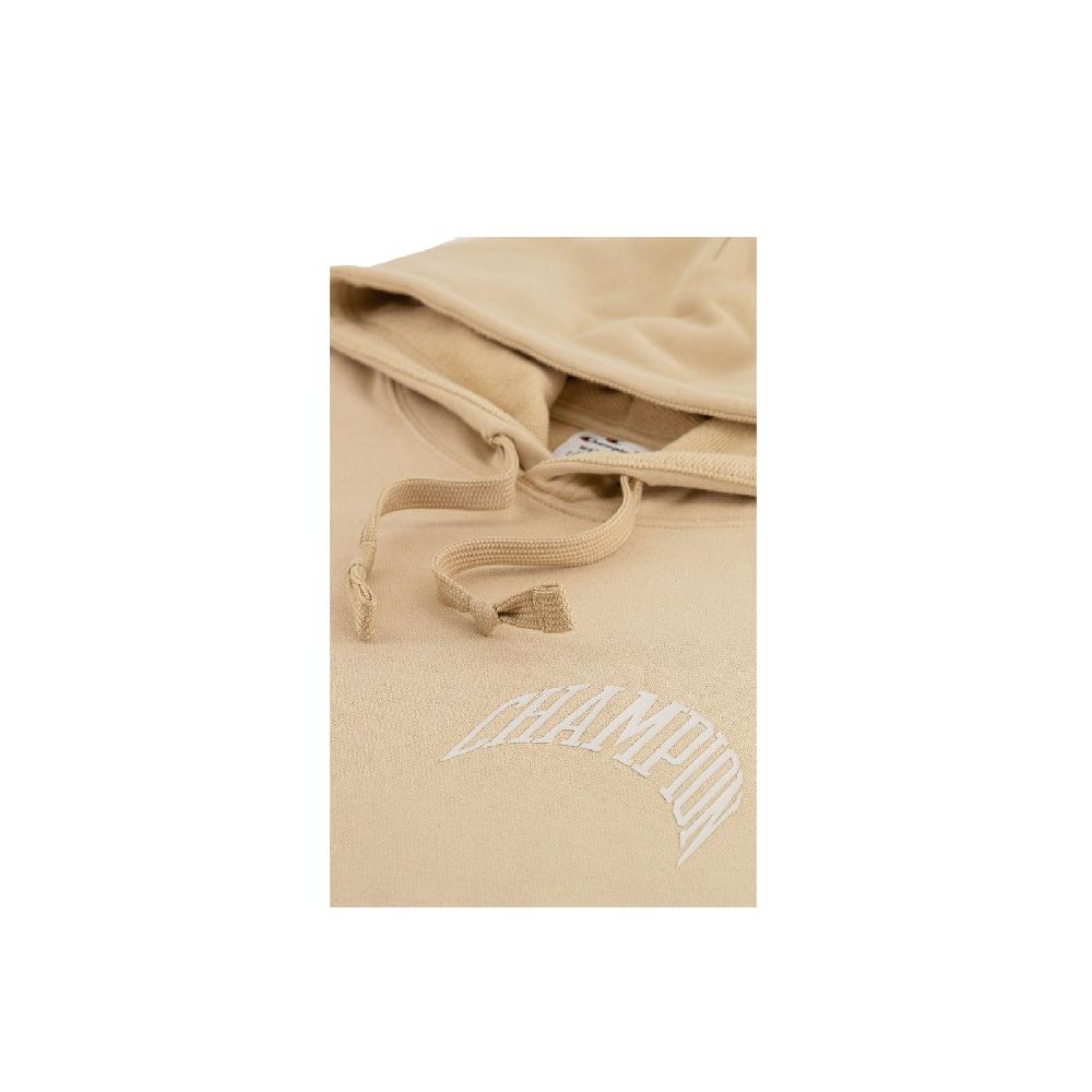 Champion Hooded Sweatshirt